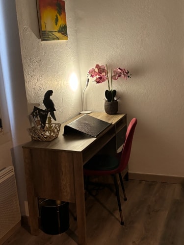 Bureau en bois avec une chaise rouge, une lampe blanche allumée, une plante en pot avec des fleurs roses, un support pour ordinateur portable, un panier avec un perroquet noir décoratif, et un tableau de palmier sur le mur par Inès Home Design