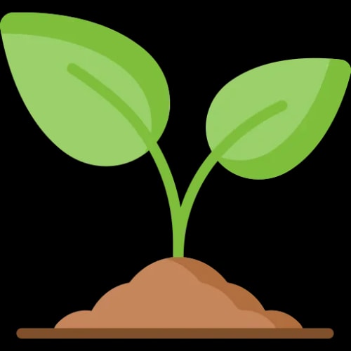 Un jeune plant avec deux feuilles vertes jaillissant d'un tas de terre, pour illustrer la terre et la paix et stabilité dans le Feng Shui