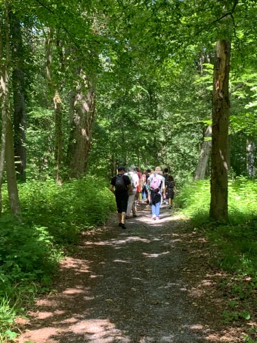 Un groupe de personnes marchant sur un sentier forestier entouré d'arbres et de verdure.
