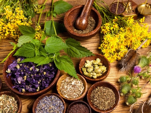 Un assortiment d'herbes et de fleurs séchées disposées dans des bols en bois sur une table en bois, avec des plantes vertes, un pilon, et des fleurs jaunes en arrière-plan.