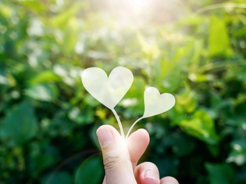 Une main tenant deux cœurs en papier, enroulés par des tiges, sur fond de verdure avec une lumière douce.