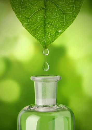 Une goutte d'eau suspendue à une feuille verte au-dessus d'un flacon en verre.