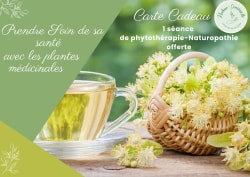 Image d'une tasse de tisane à côté d'un panier rempli de fleurs médicinales, avec un texte sur la carte cadeau pour une séance de phytothérapie-Naturopathie.