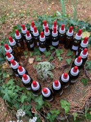 Un cœur formé de flacons de liquide avec des bouchons rouges, entouré de feuilles et de branches, posé sur un lit de brindilles et d'herbe.
