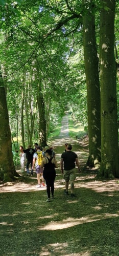 Un sentier bordé d'arbres, avec des personnes marchant sur un chemin ombragé.
