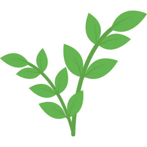 Branche avec des feuilles vertes