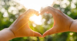 Deux mains formant un cœur avec le soleil brillants en arrière-plan, sur un fond verdoyant