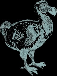 Illustration travaillé d'un dodo pour illustrer la Route du Sucre