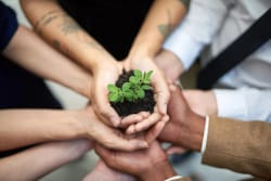 Plusieurs mains de différentes personnes tenant ensemble une petite plante verte poussant dans de la terre noire.