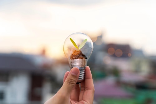 Une ampoule contenant de la terre et une petite plante verte, tenue par une main, avec un arrière-plan flou de ville au coucher du soleil.