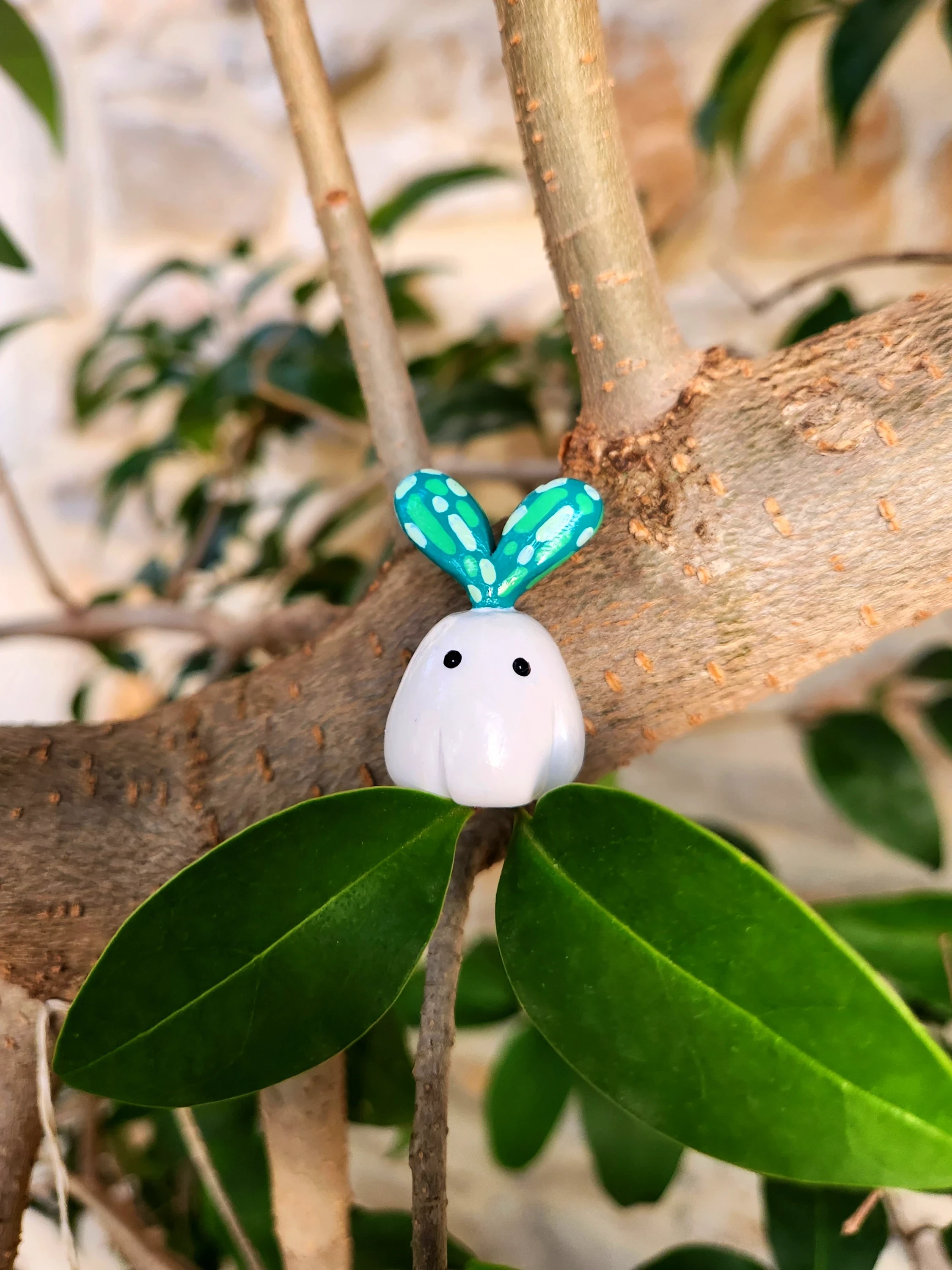 Fantôme - Ciboulette