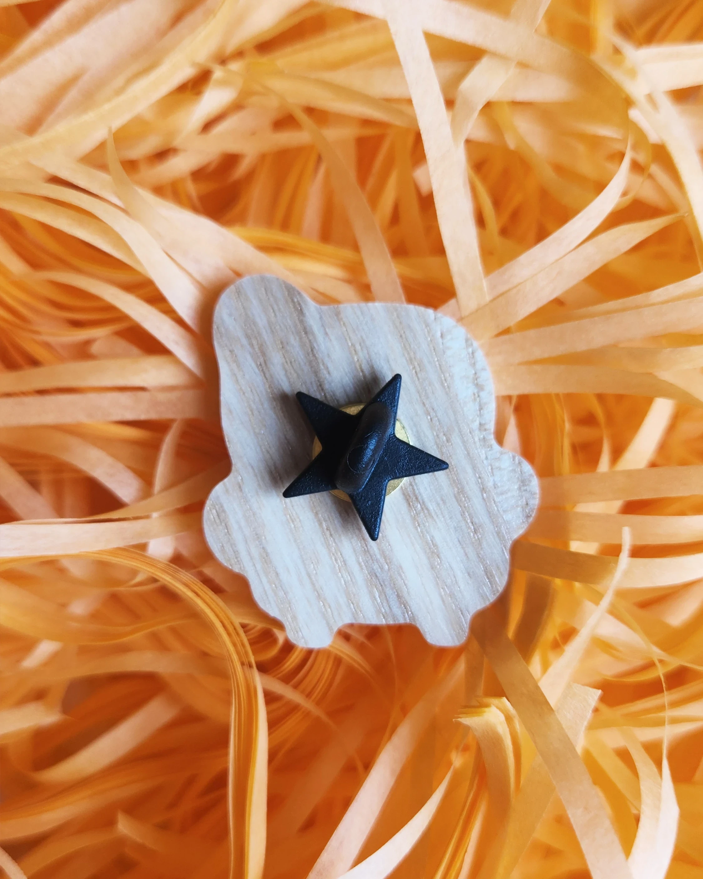 Pin's/Magnet - Livre