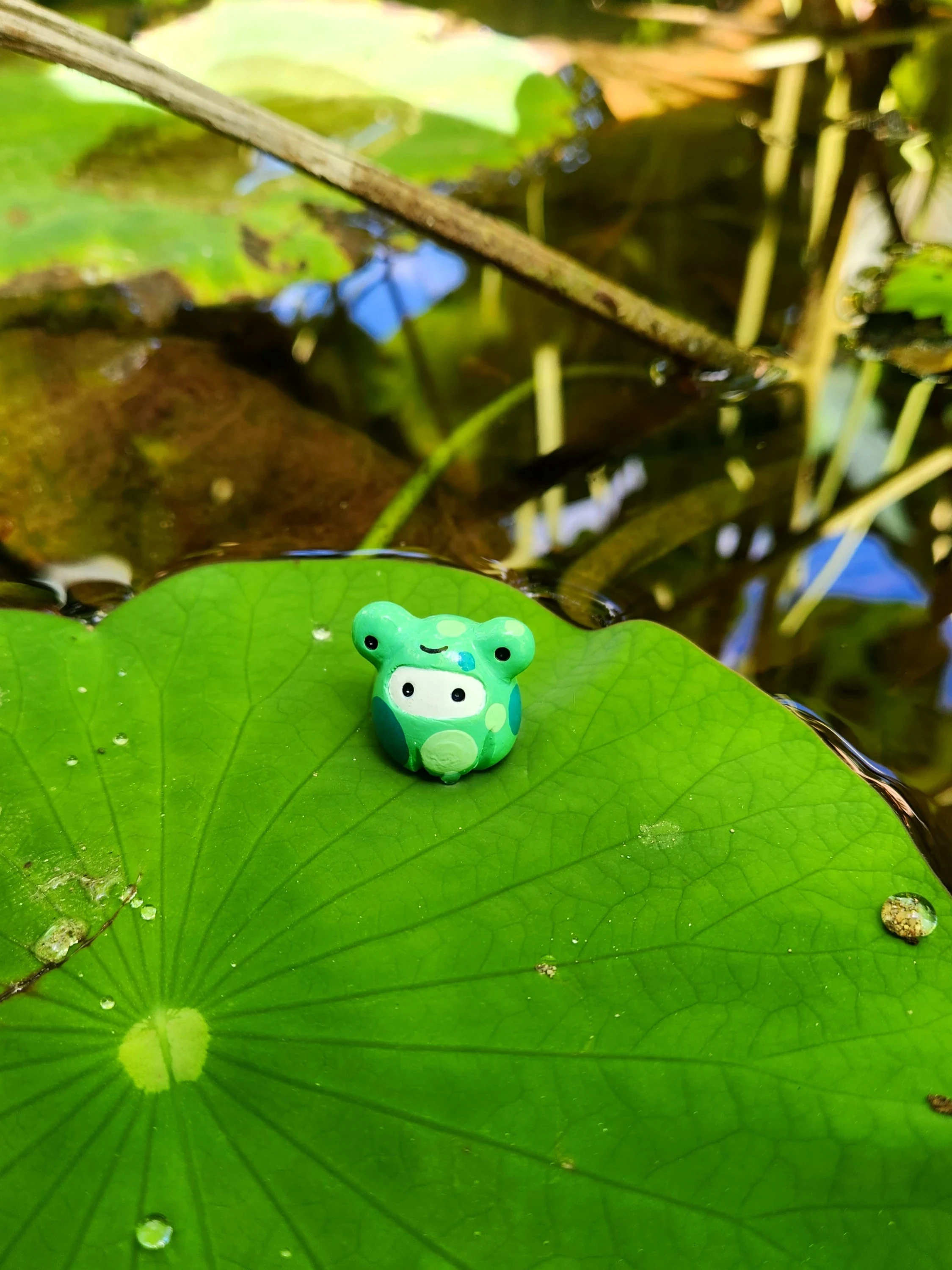 Fantôme - Grenouille