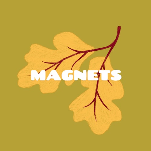 Magnet