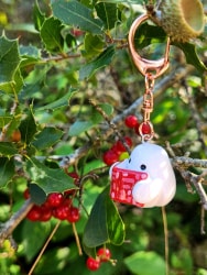 Keychain - Book