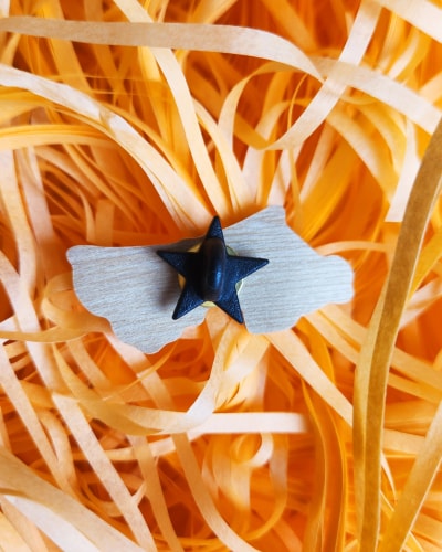 Pin's/Magnet - Linge