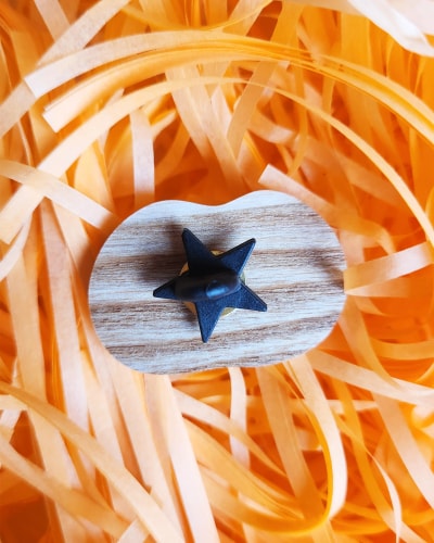 Pin's/Magnet - Poisson