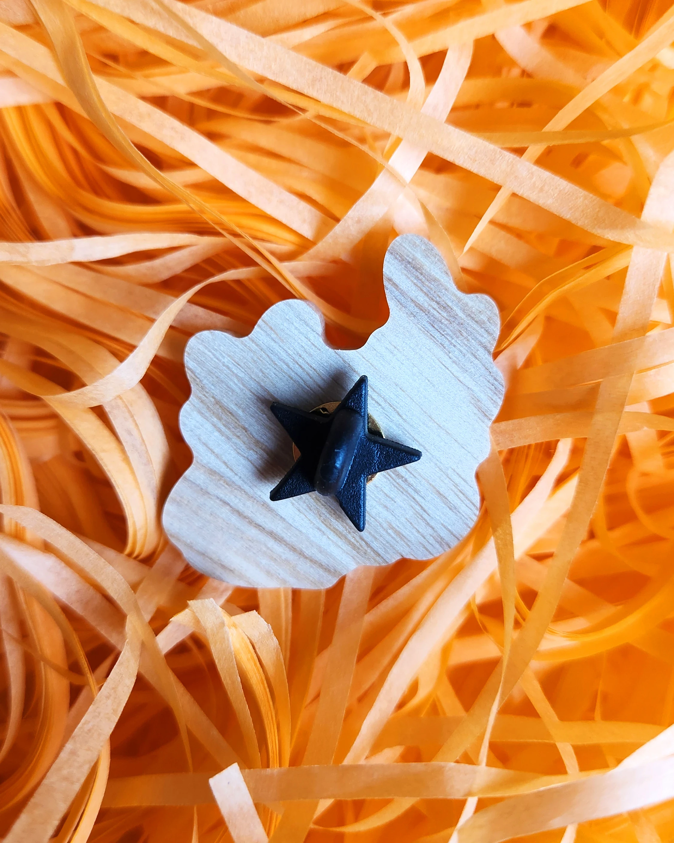 Pin's/Magnet - Grenouille