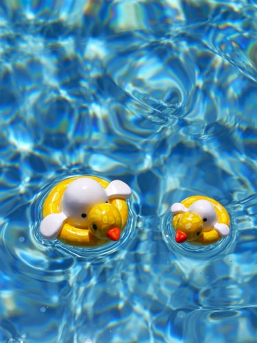 Fantôme - Bouée Canard