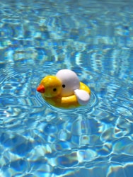 Ghost - Duck Float