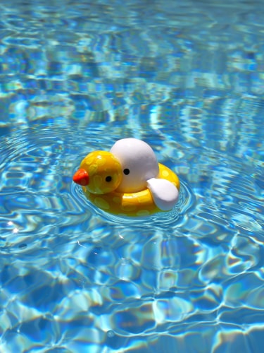 Fantôme - Bouée Canard