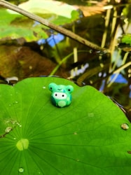 Ghost - Frog