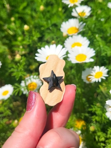 Pin's/Magnet - Tulipe