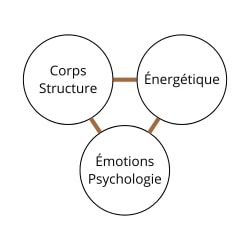 Thérapie Rennes Kinésiologie Psychologie