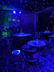 Décorations d'Halloween avec une ambiance sombre et bleue, comprenant une grande toile d'araignée, un chaudron, des bougies allumées, un crâne humain, des oiseaux artificiels et des objets mystérieux sur des tables contre un mur en briques.