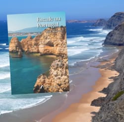 Nova Crítica sobre o Romance "Escale au Portugal"