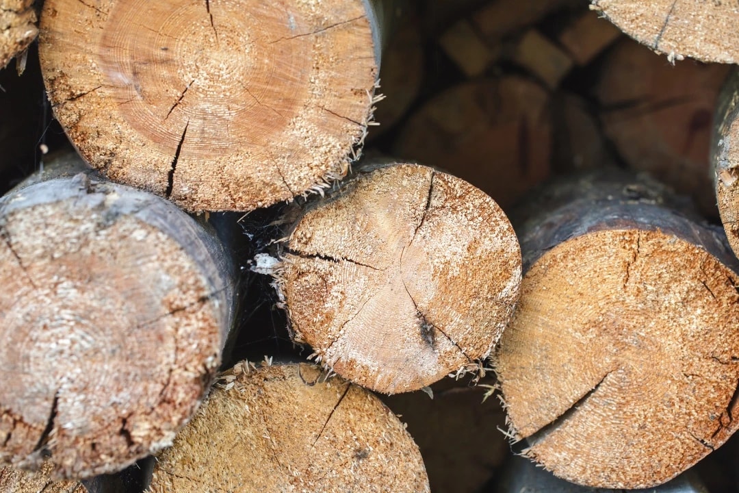 L'impact environnemental des matériaux de décoration : pourquoi le bois est-il une option durable ?
