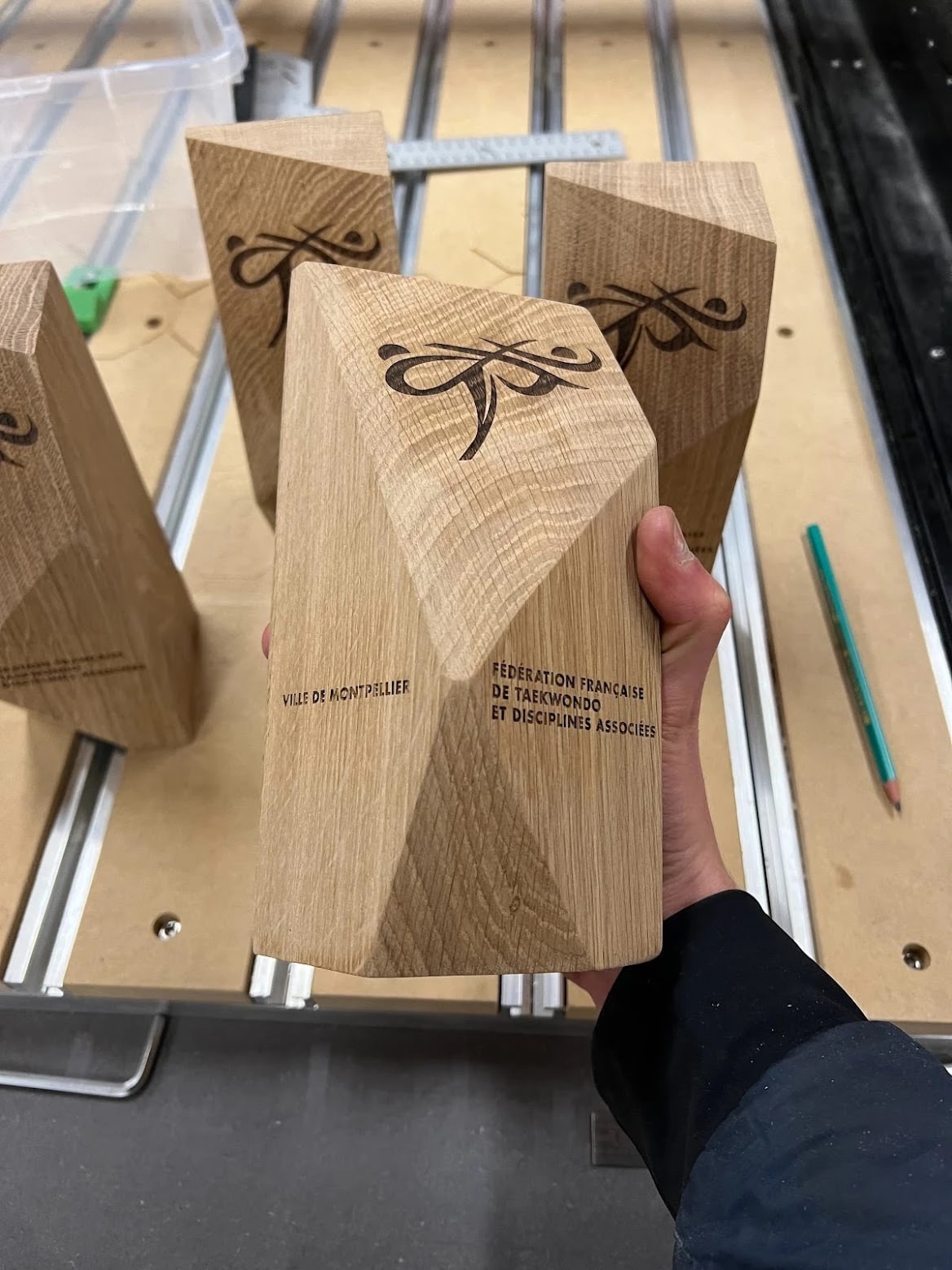 Trophée en bois massif sur mesure. Trophée personnalisable en bois. Récompense personnalisée bois durable.