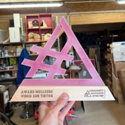 Trophée en bois entreprise sur mesure. Récompense entreprise personnalisable, durable et fabriquée en France