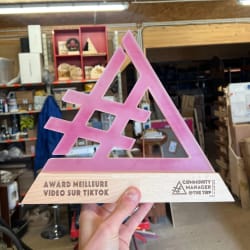 Trophée en bois sur mesure. Récompense entreprise personnalisable, durable et made in France