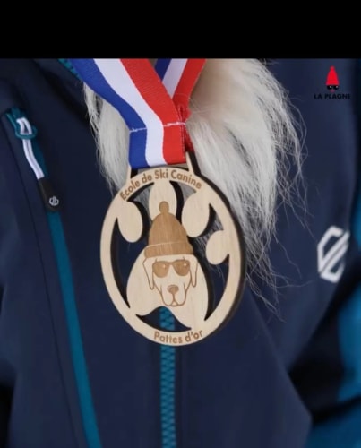 Médaille en bois sur mesure. Récompense podium en bois personnalisable. Médailles responsables.