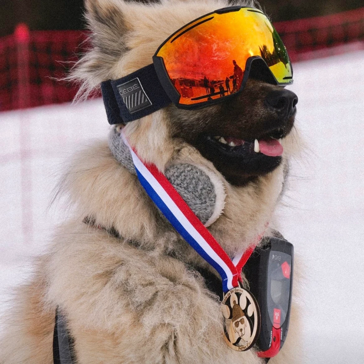Porte clés en bois personnalisables. Goodies durables en bois sur mesure. Objet de communication écoresponsable.
