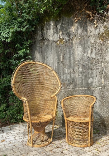 Duo de fauteuils Emmanuel B