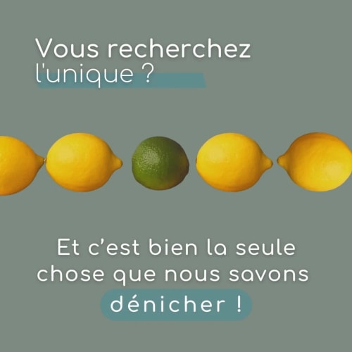 Une rangée de citrons jaunes et d'un citron vert, avec le texte "Vous recherchez l'unique ? Et c'est bien la seule chose que nous savons dénicher !" au-dessus.
