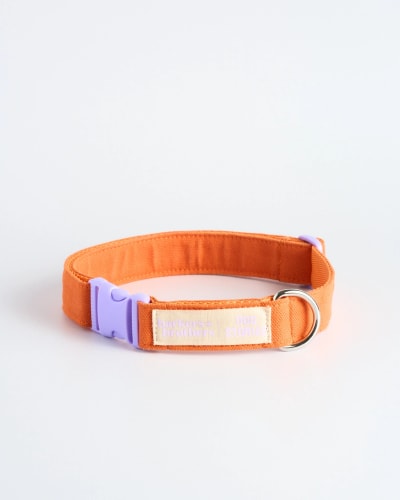 Formule E-COMMERCE - 10 Photos Packshot