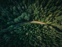 Vue aérienne d'une route sinueuse traversant une dense forêt verte.