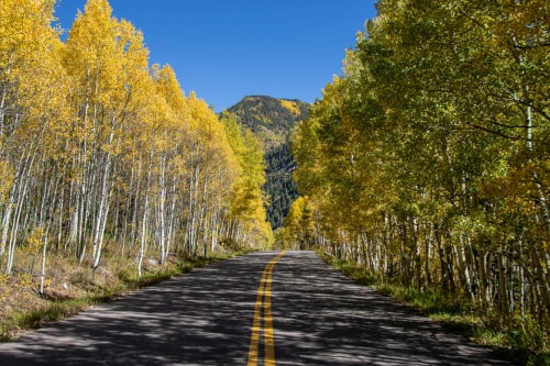 Une route bordée d'arbres aux feuilles jaunes, menant à une montagne sous un ciel bleu.