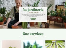 Capture du site présentant un projet