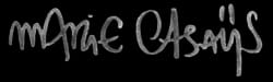 Texte gris stylisé « Anvile Opales » sur fond blanc.