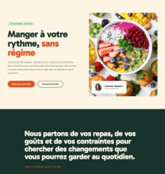 Capture du site présentant un projet