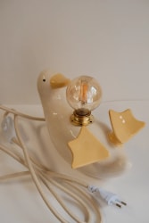 Lampe canard défaut 5
