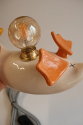 Lampe canard défaut 1