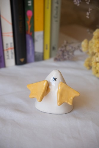 Cucul de canard