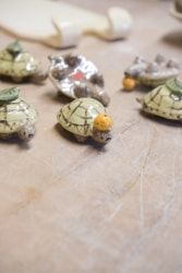 Mini tortchues
