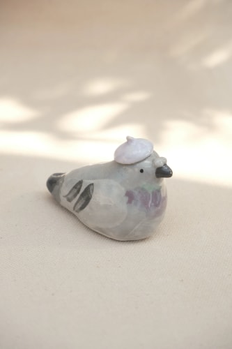 Pigeon avec beret