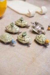 Mini tortchues